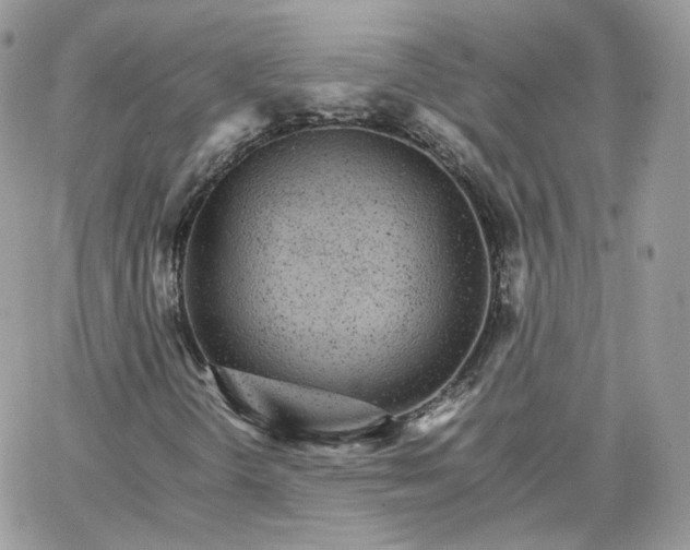 X0000066081298200603241421