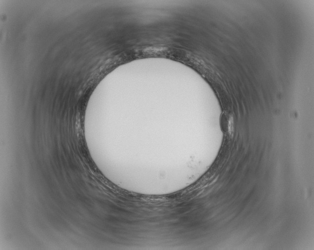 X0000066081299200603241421