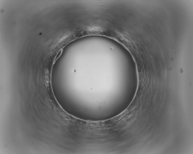 X0000066081301200603241422