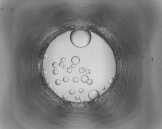 X0000066081302200603241422