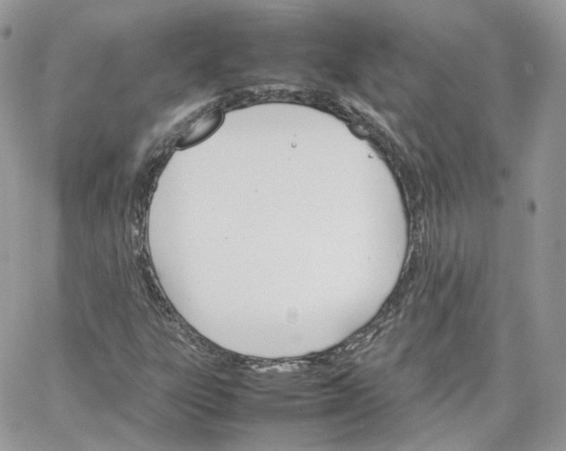 X0000066081303200603241422