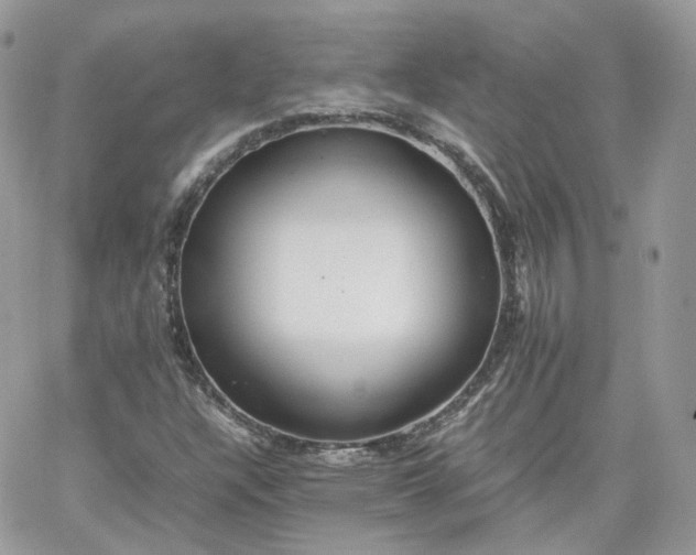 X0000066081304200603241422