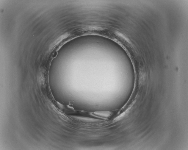 X0000066081305200603241422