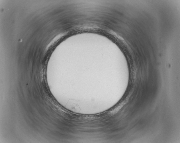 X0000066081306200603241422