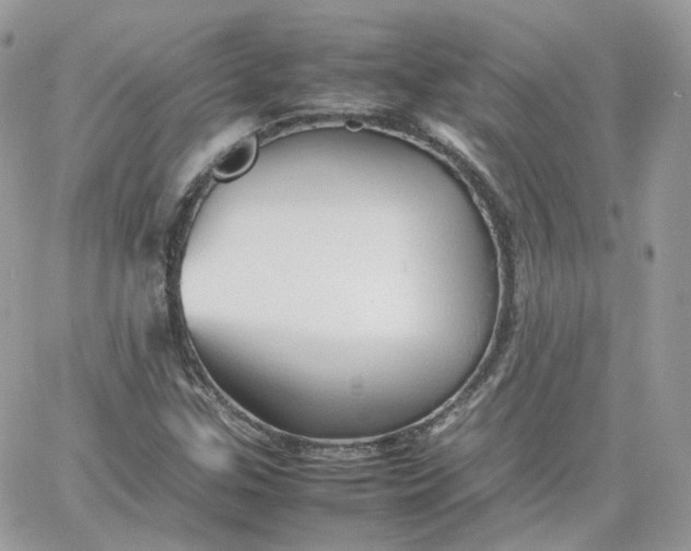 X0000066081307200603241422