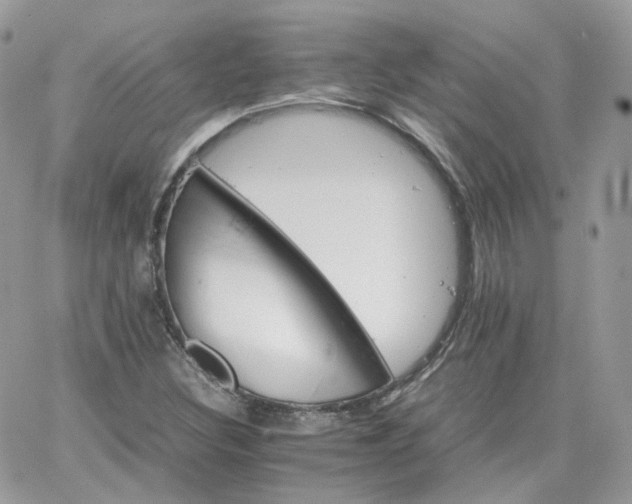 X0000066081308200603241422