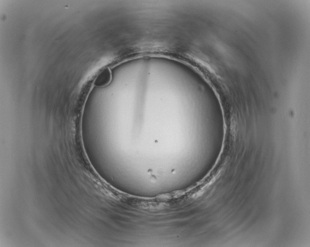 X0000066081309200603241422