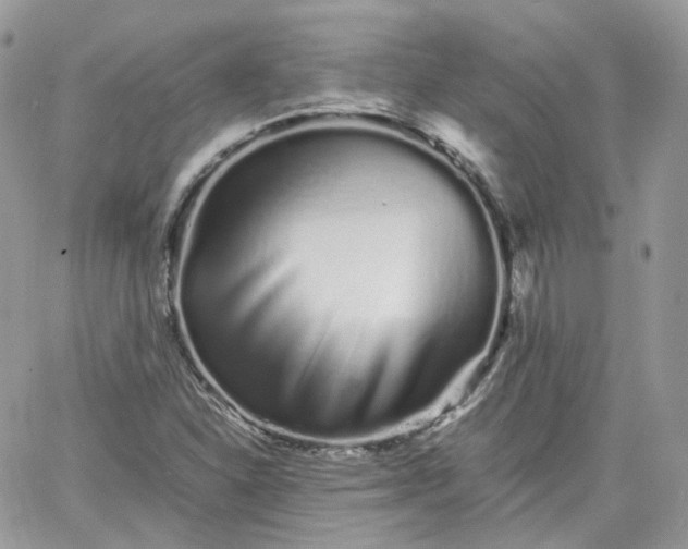 X0000066081310200603241422