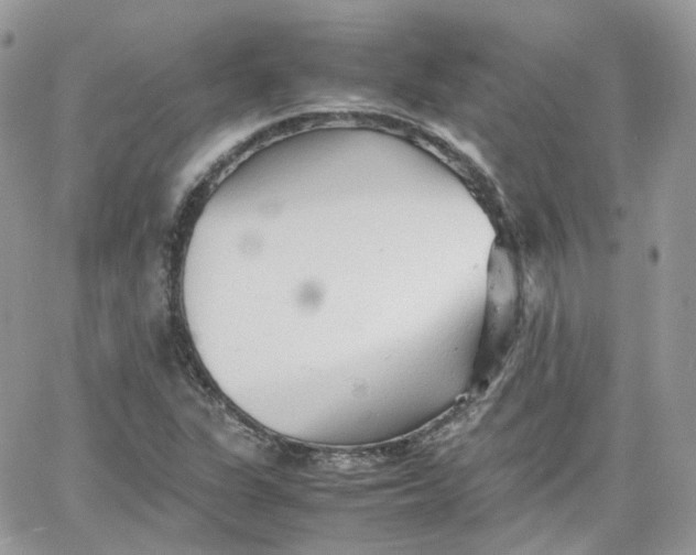 X0000066081311200603241422