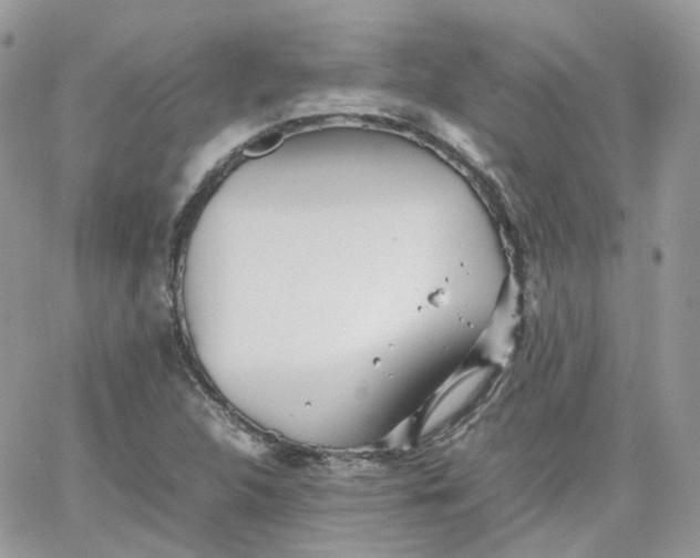 X0000066081312200603241422