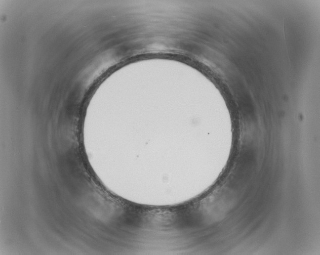 X0000066081314200603241422