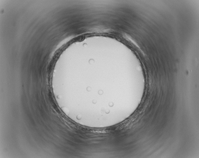 X0000066081315200603241422