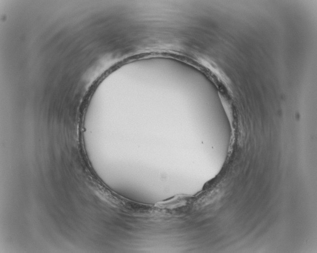 X0000066081316200603241422