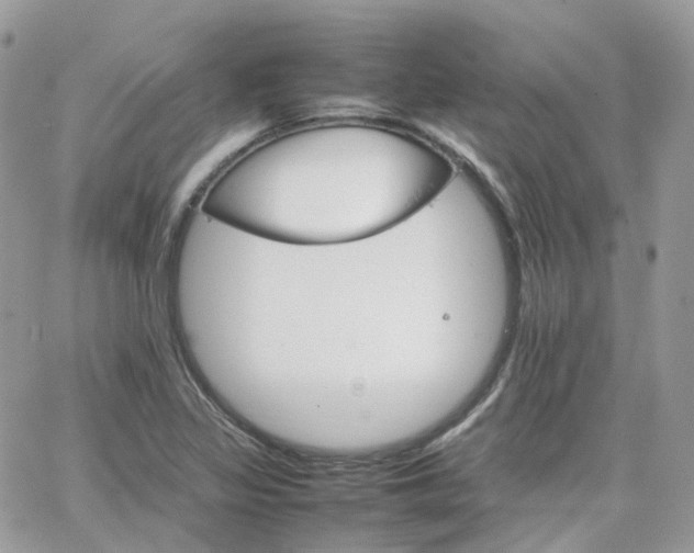 X0000066081317200603241422