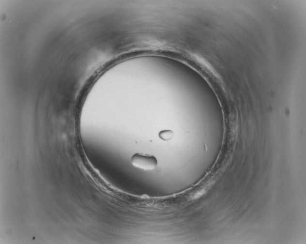 X0000066081318200603241422