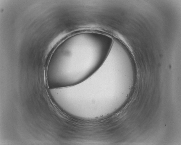 X0000066081320200603241422