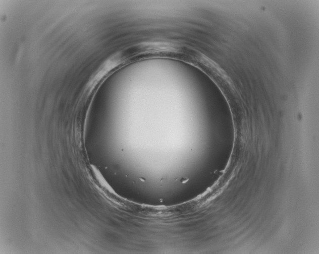 X0000066081321200603241422