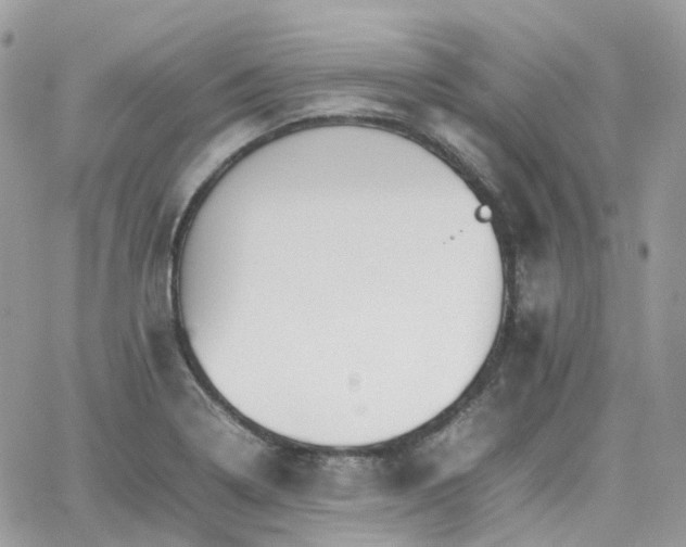 X0000066081322200603241422