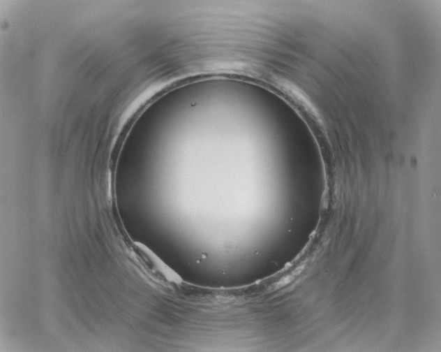 X0000066081324200603241422