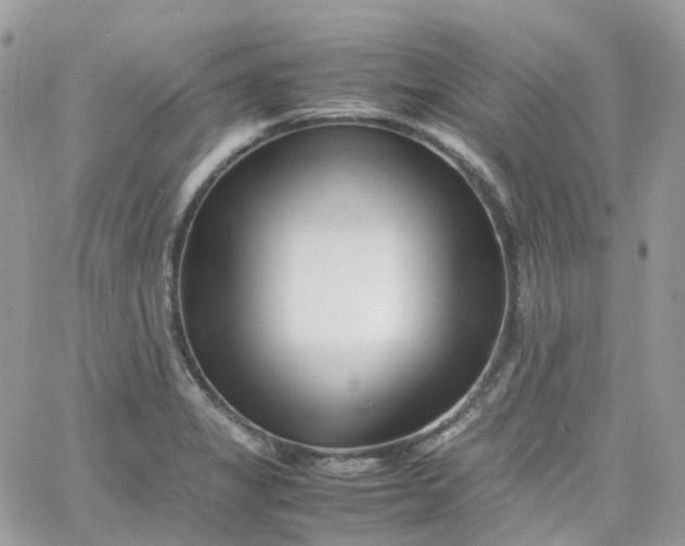 X0000066081325200603241422