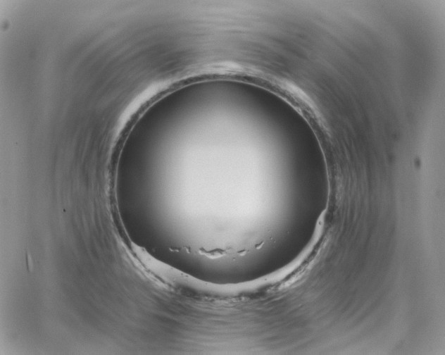 X0000066081326200603241422