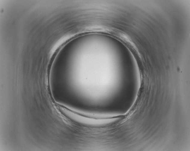 X0000066081328200603241422