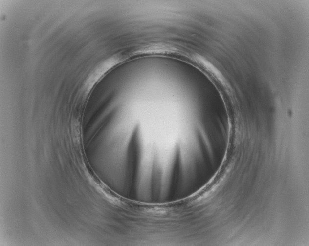 X0000066081329200603241422