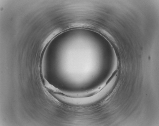 X0000066081330200603241422