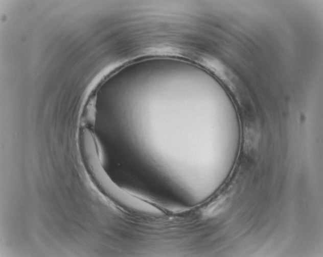 X0000066081331200603241422