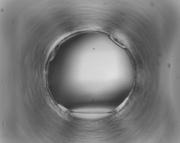 X0000066081332200603241422