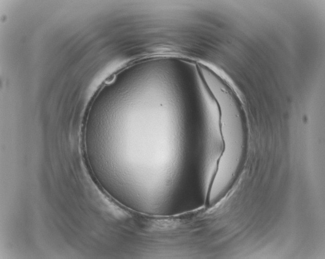 X0000066081333200603241422