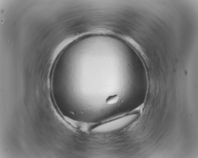 X0000066081335200603241422