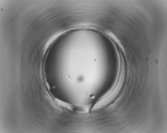 X0000066081336200603241422