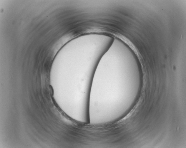 X0000066081337200603241422