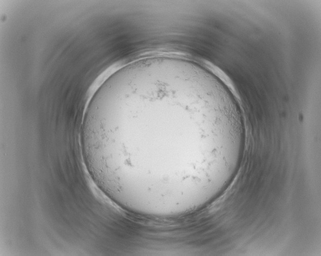 X0000066081338200603241422