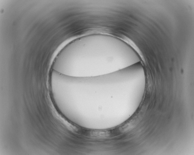 X0000066081339200603241422