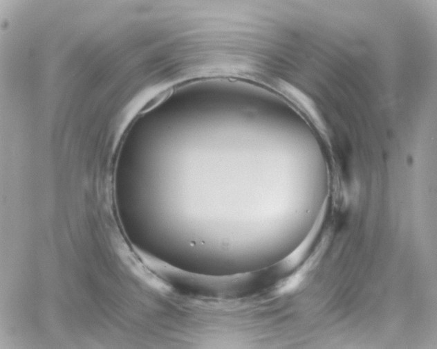 X0000066081340200603241422