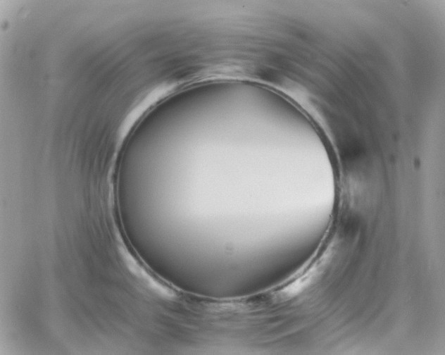 X0000066081341200603241422