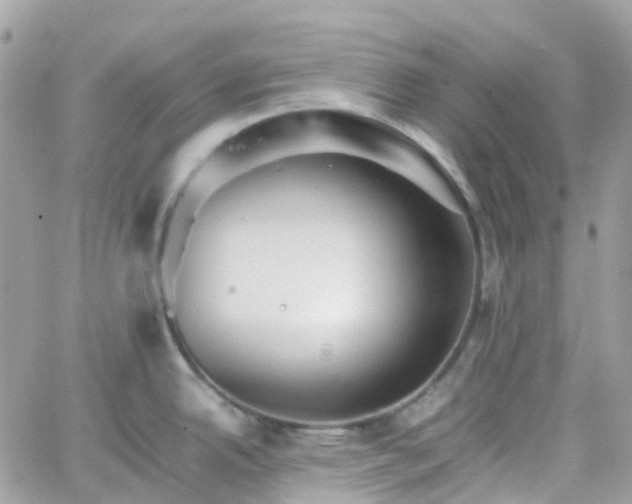 X0000066081342200603241422