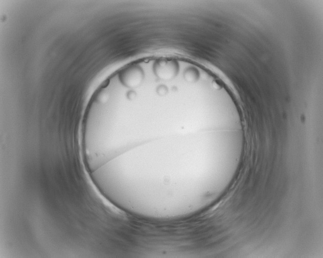 X0000066081343200603241422