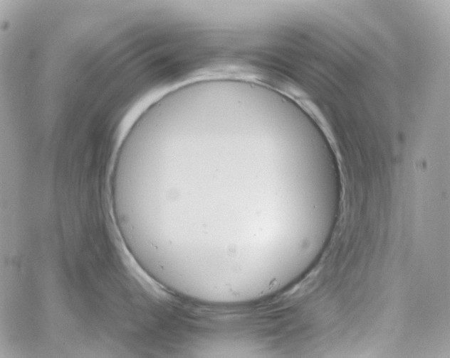 X0000066081344200603241422