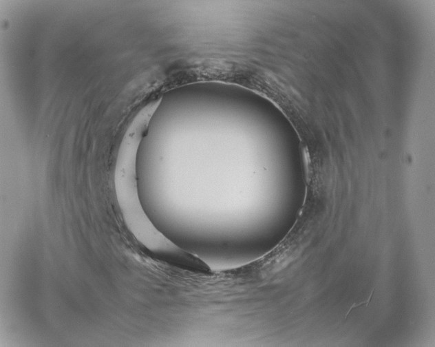 X0000066081345200603241421