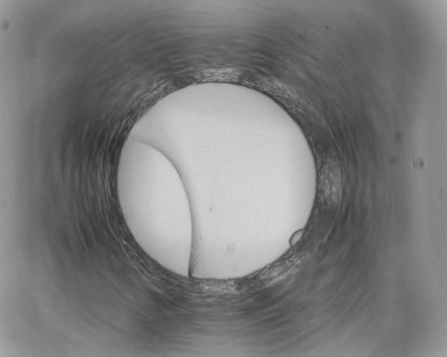 X0000066081346200603241421