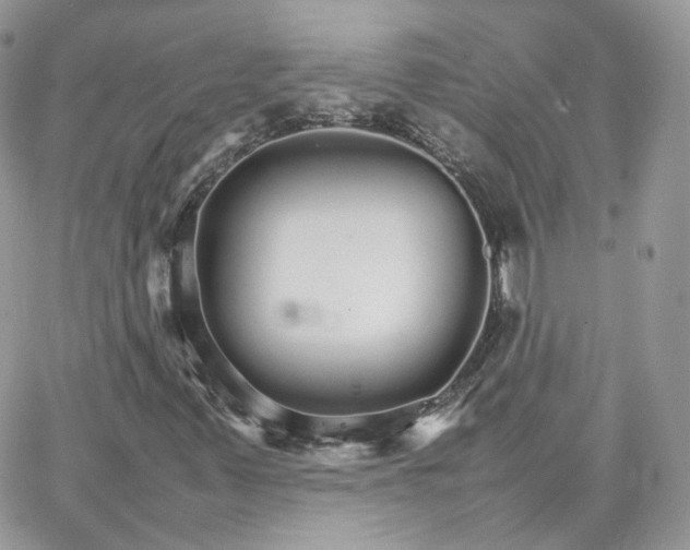 X0000066081347200603241421