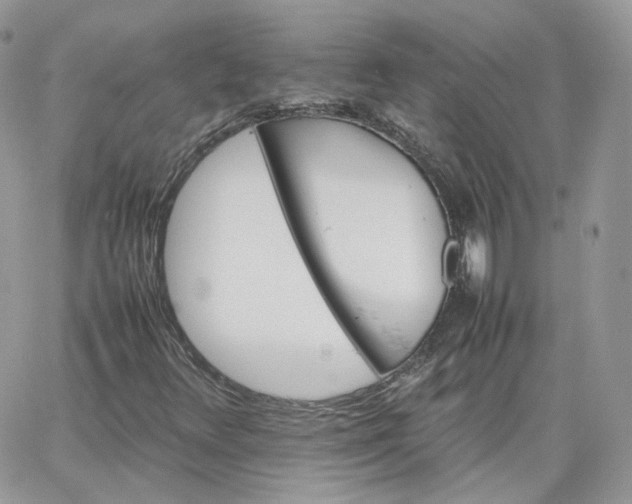 X0000066081348200603241421