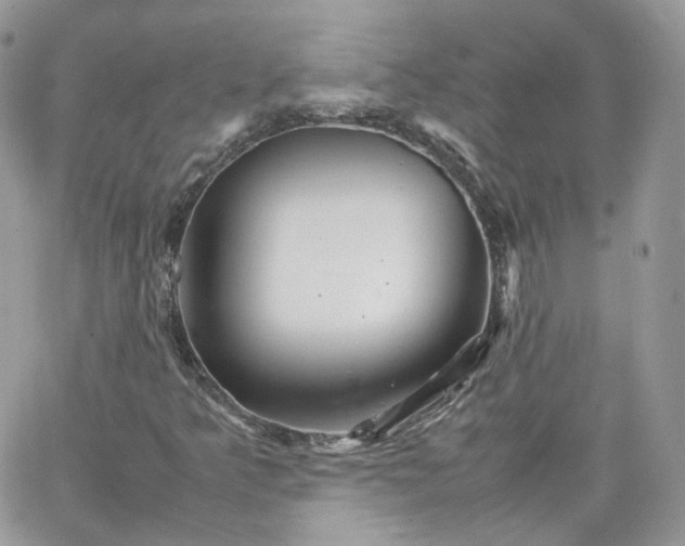 X0000066081349200603241421