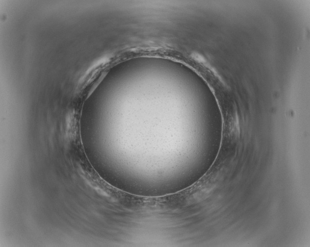 X0000066081350200603241421