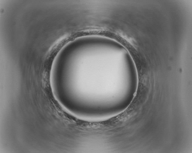 X0000066081351200603241421