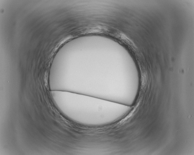 X0000066081353200603241421