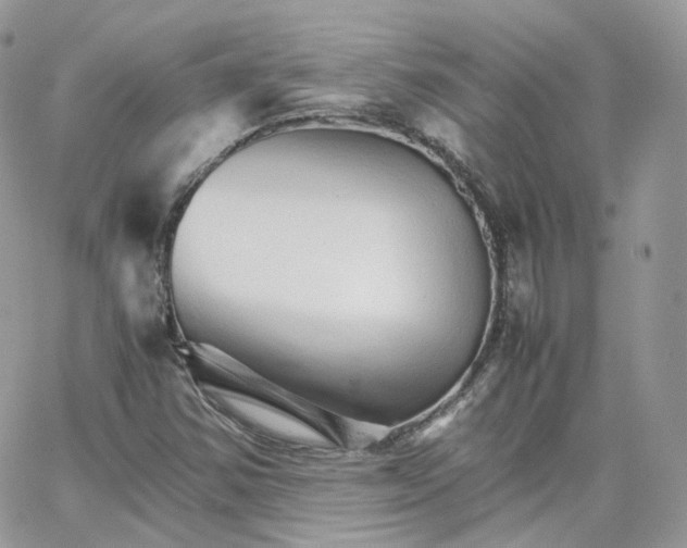 X0000066081354200603241421